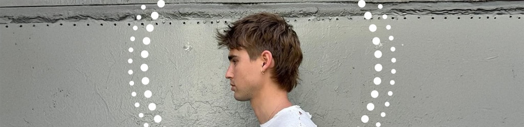 mullet_haar