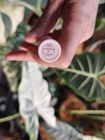 1420733_enhance_review_media_4875626 1420733_enhance_review_media_4875626