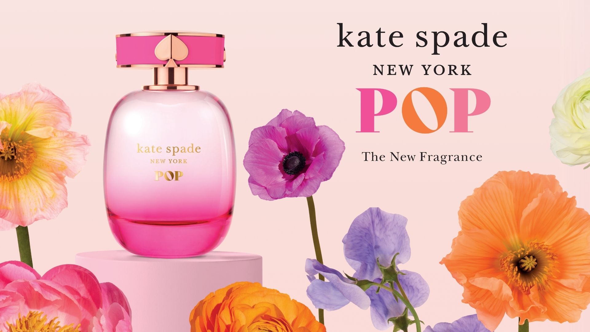 Kate Spade Pop Kate Spade Pop