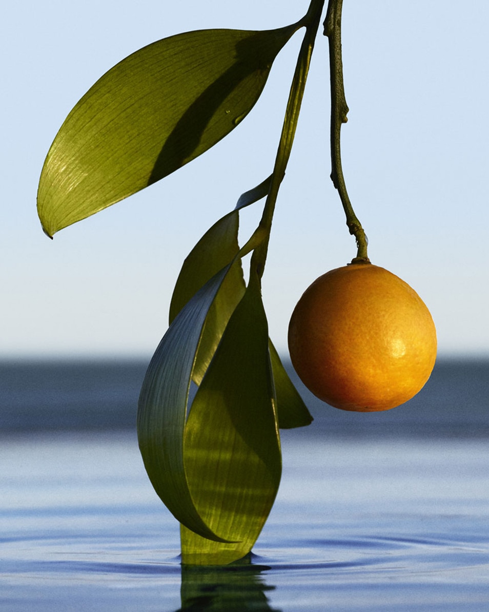 EAU DE PARFUM NATURAL SPRAY