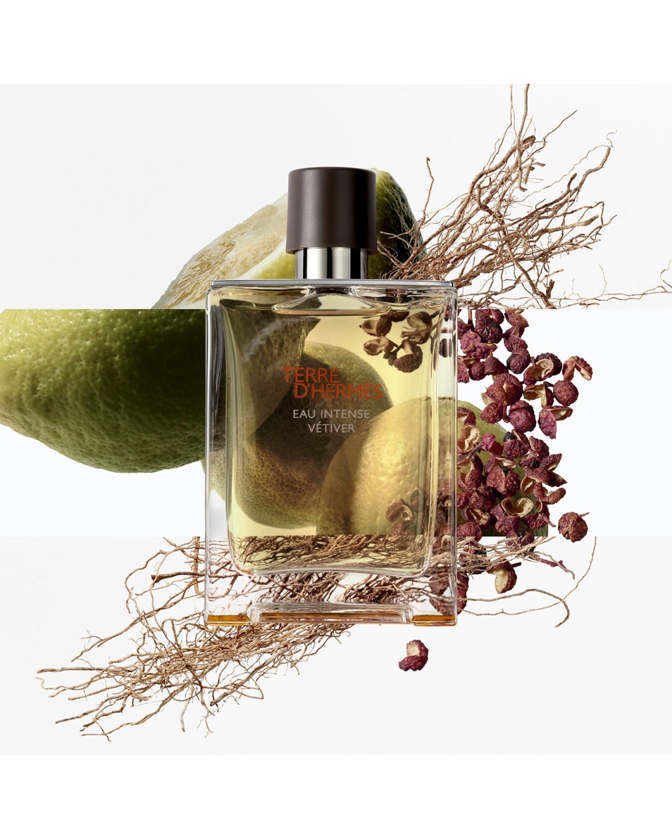 HERMÈS TERRE D'HERMÈS EAU INTENSE VÉTIVER EAU DE PARFUM 200 ML 3