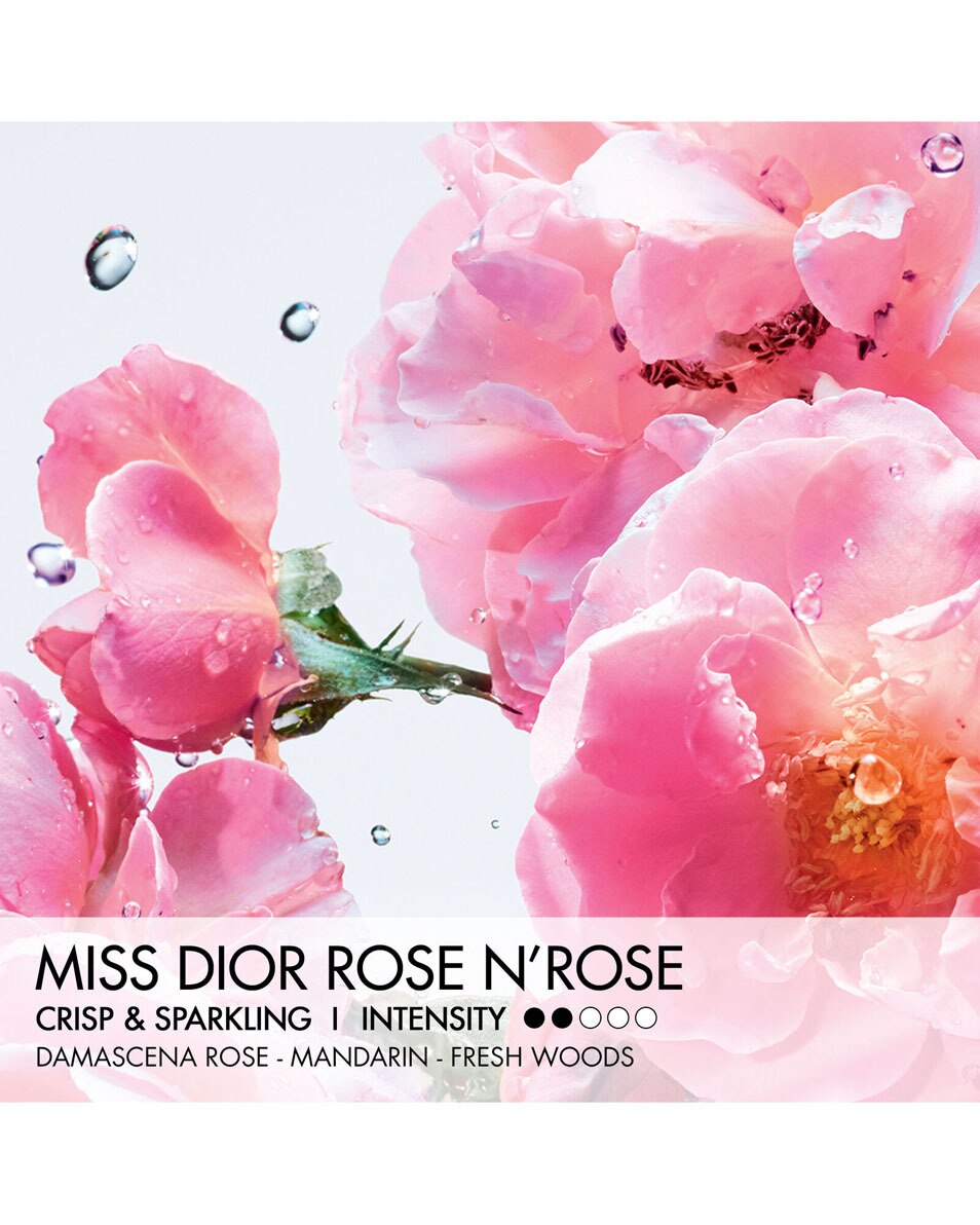 DIOR MISS DIOR ROSE N'ROSES EAU DE TOILETTE ROLLER-PEARL - PARFUM ROLL ON 20 ML 3