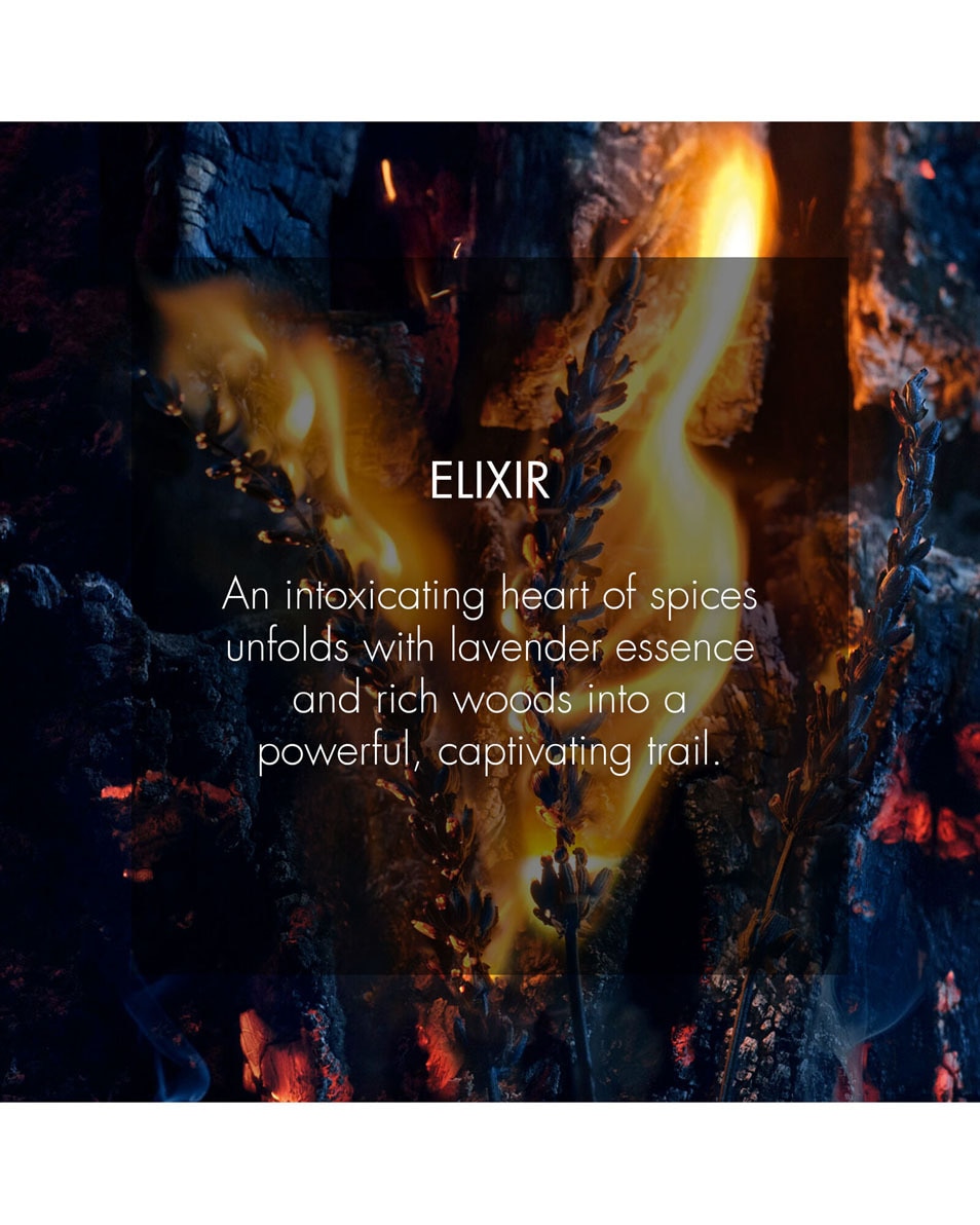 Elixir