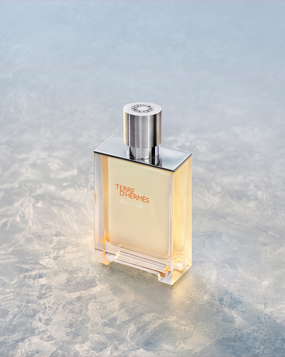 HERMÈS TERRE D'HERMÈS EAU GIVRÉE, EAU DE PARFUM 100 ML 3