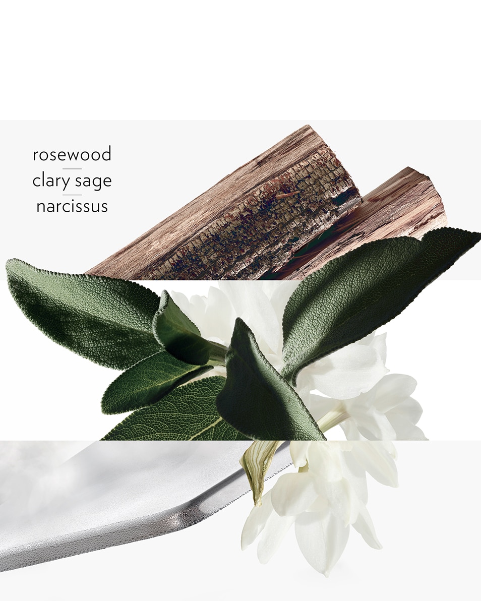 HERMÈS H24 LAVANT SOLIDE VISAGE, CORPS ET CHEVEUX 100 G 3