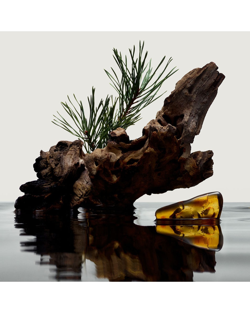 BURBERRY HERO Eau De Parfum 50 ML 3