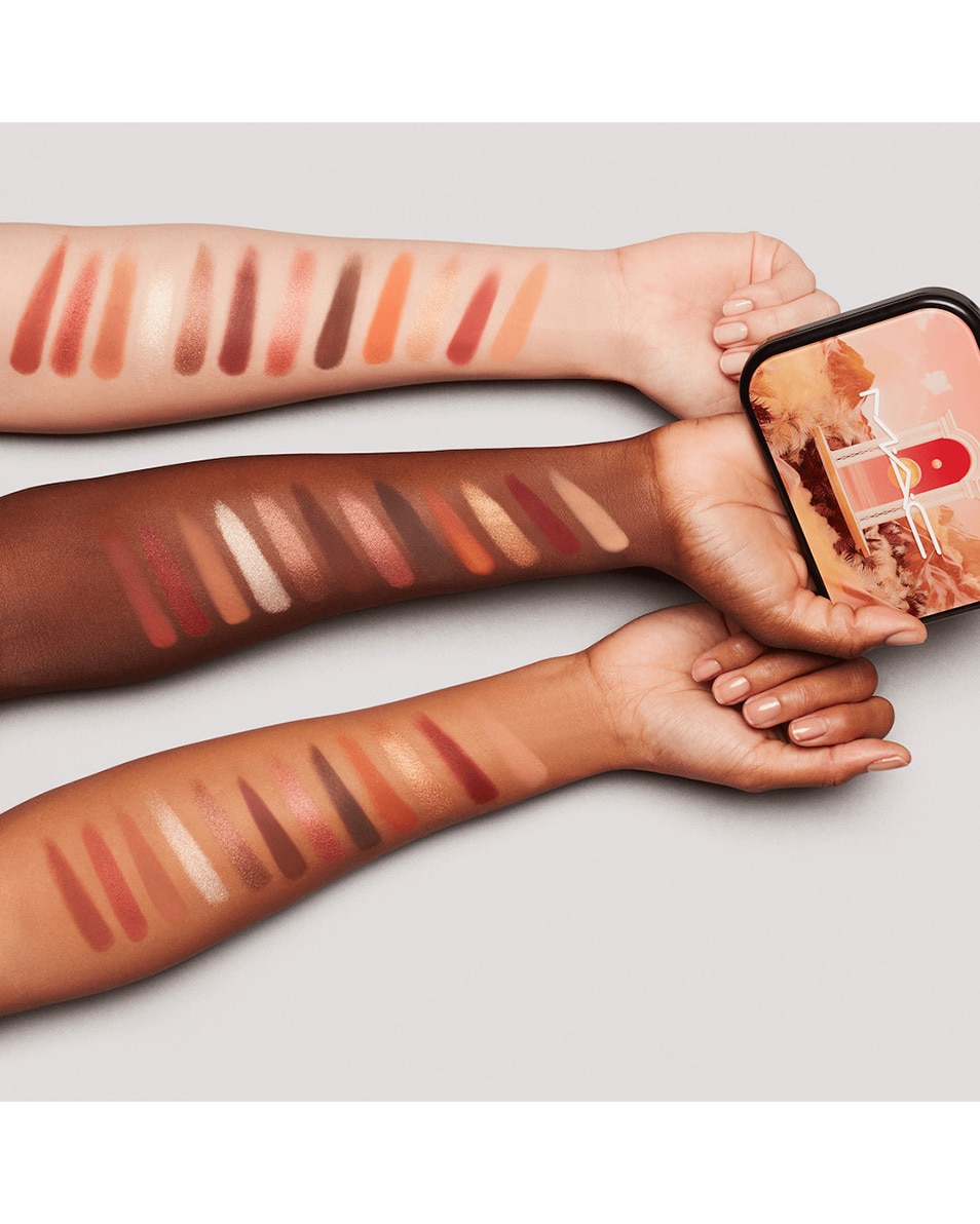 M.A.C CONNECT IN COLOUR EYE SHADOW PALETTE PALETTE FARDS À PAUPIÈRES – FINIS DIFFÉRENTS 3