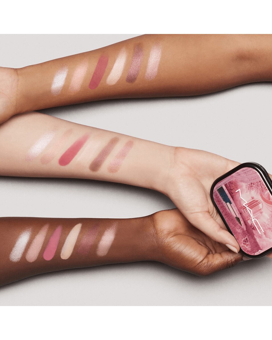M.A.C CONNECT IN COLOUR EYE SHADOW PALETTE PALETTE FARDS À PAUPIÈRES – FINIS DIFFÉRENTS 3