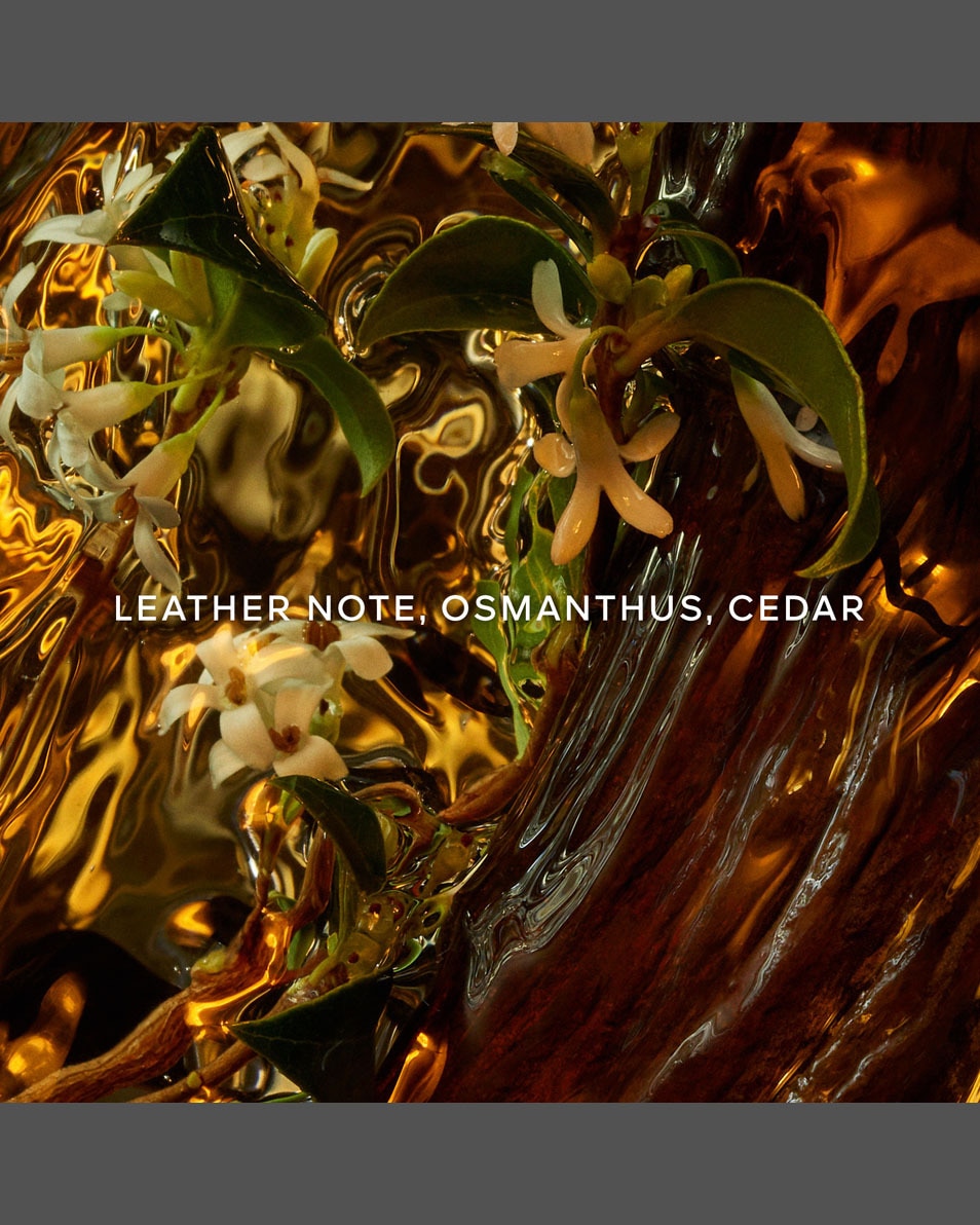 GUERLAIN ABSOLUS ALLEGORIA Absolus Allegoria Cuir Intense Eau de Parfum 125 ML 3