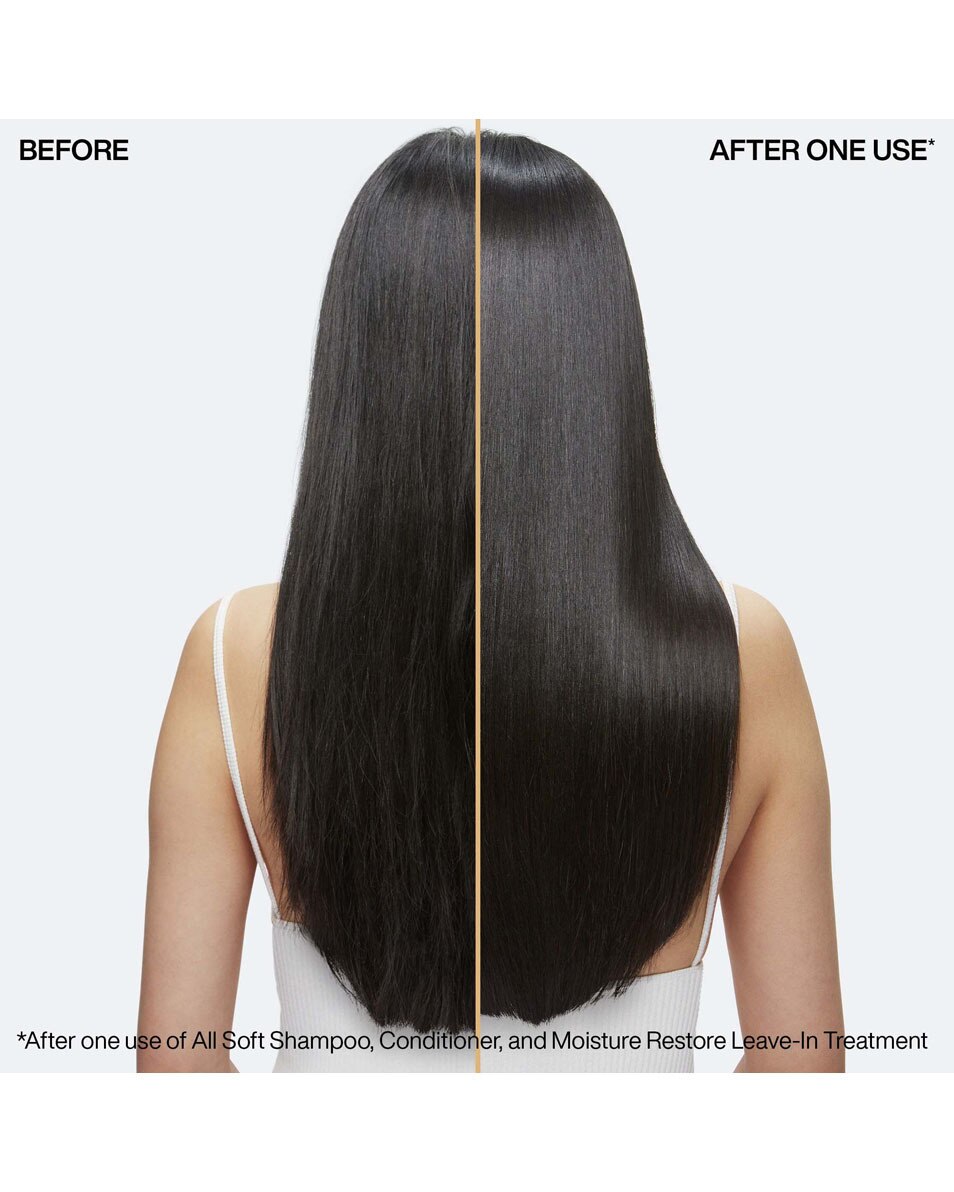 Soin restaurateur d'hydratation - pour cheveux secs