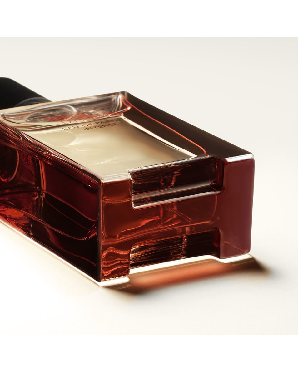 HERMÈS Terre d'Hermès Eau de Parfum Intense 50 ML 3