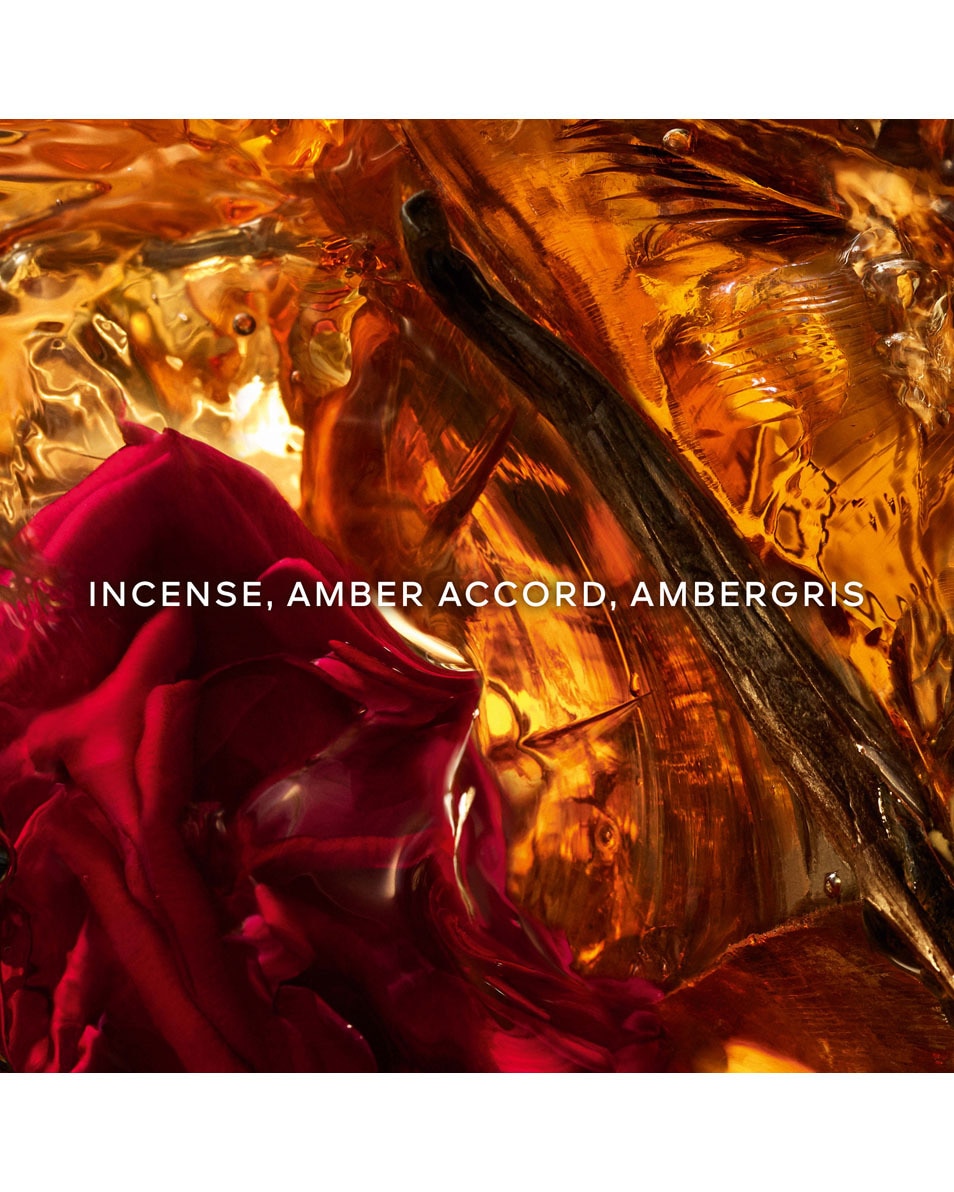 GUERLAIN Absolus Allegoria Ambre Samar - Eau de Parfum 125 ML 3