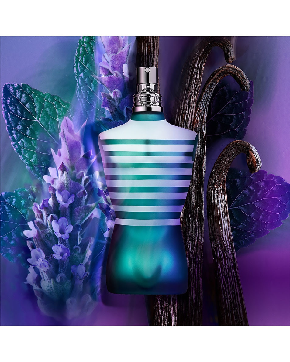 JEAN PAUL GAULTIER LE MALE EAU DE TOILETTE 75 ML