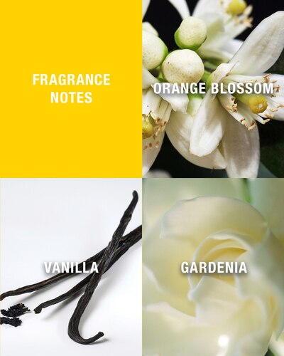 GIORGIO BEVERLY HILLS GIORGIO WOMEN EAU DE TOILETTE VAPORISATEUR 90 ML