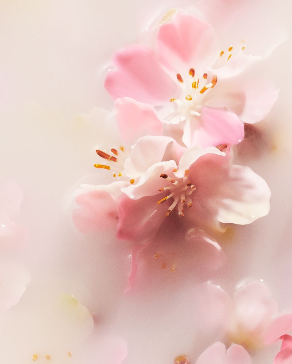 RITUALS The Ritual of Sakura Coffret Cadeau S 3 ST 3