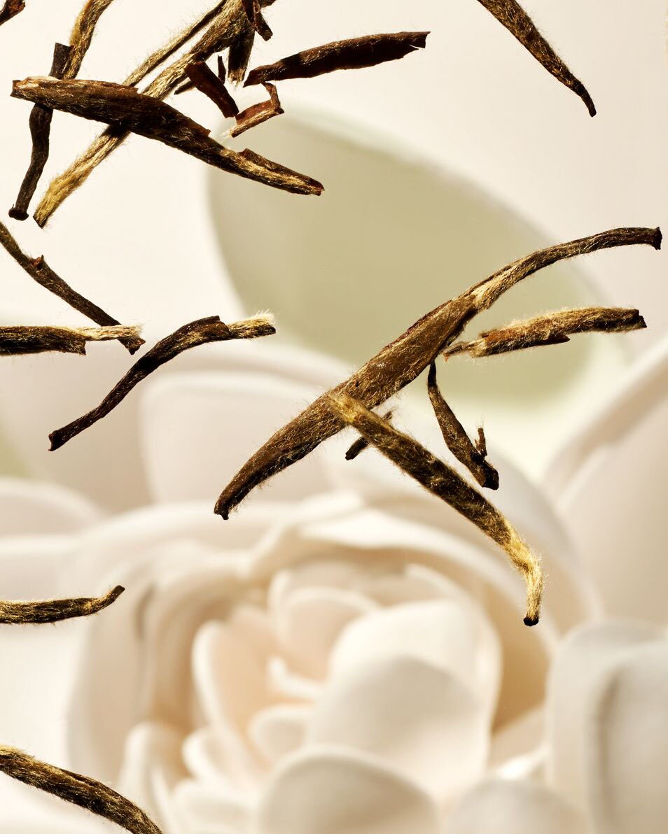 Crème Pour Le Corps