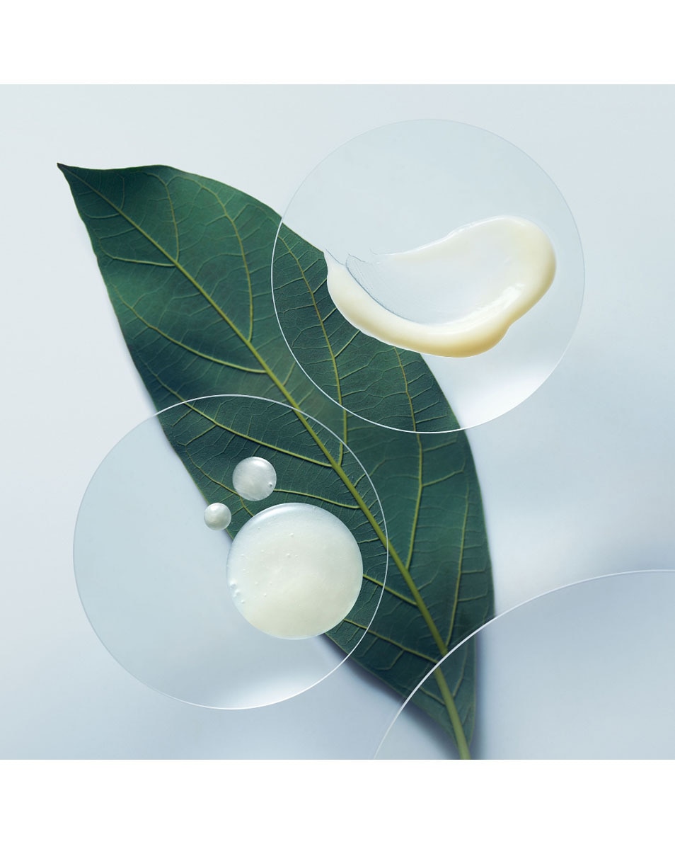 AVEDA Botanical Repair Leave-in Treatment Traitement réparateur sans rinçage 25 ML 3