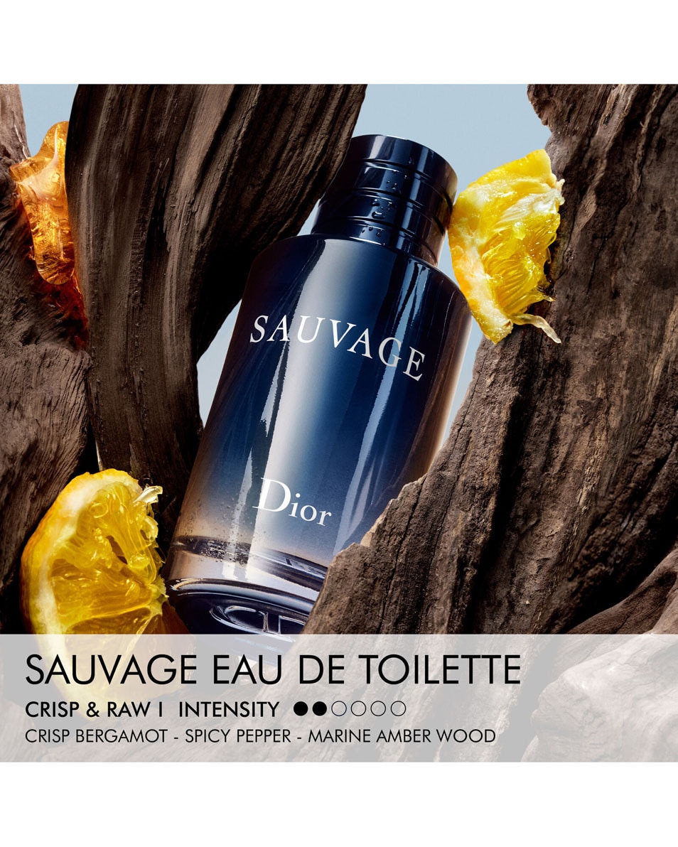 DIOR Sauvage Eau de Toilette - Limited Edition Men's Fragrance Parfum homme - Notes épicées & hespéridées - édition limitée 100 ML 3