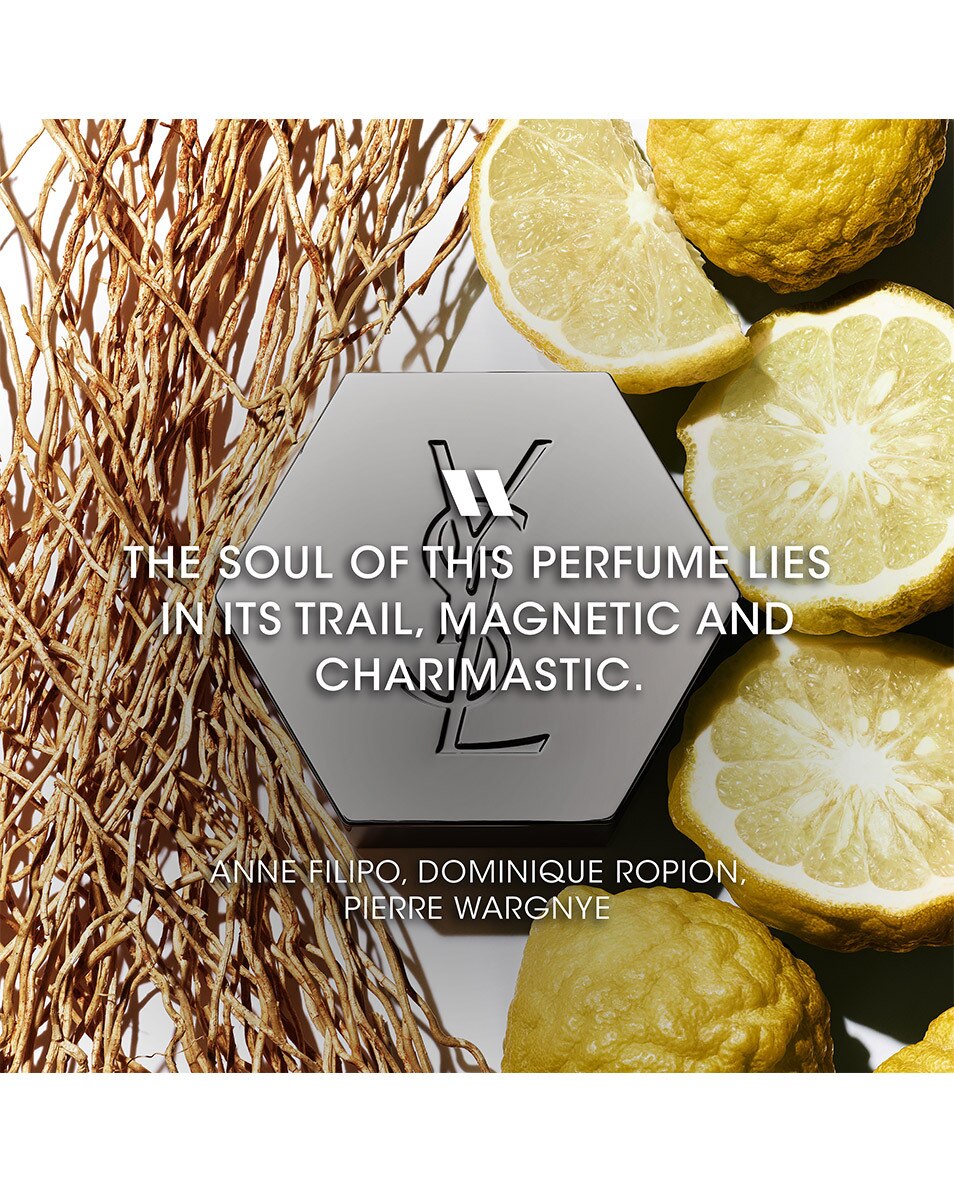 YVES SAINT LAURENT L'HOMME EAU DE TOILETTE HOMME 60 ML 3