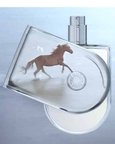 HERMÈS VOYAGE D'HERMÈS EAU DE TOILETTE VAPORISATEUR 35 ML