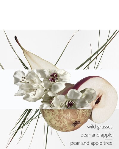 HERMÈS UN JARDIN SUR LE TOIT EAU DE TOILETTE VAPORISATEUR 50 ML