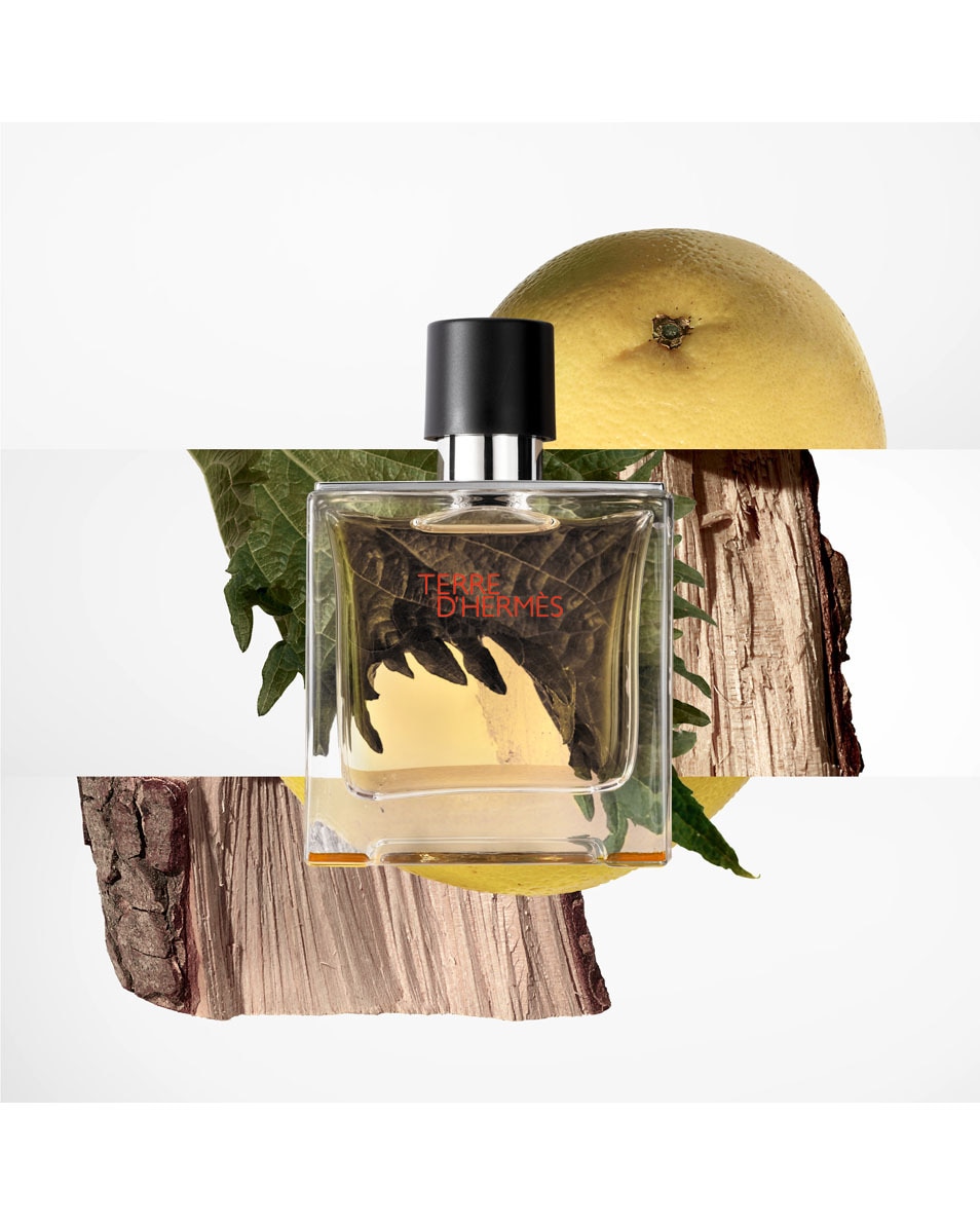 HERMÈS TERRE D'HERMÈS RECHARGE PARFUM 125 ML 3