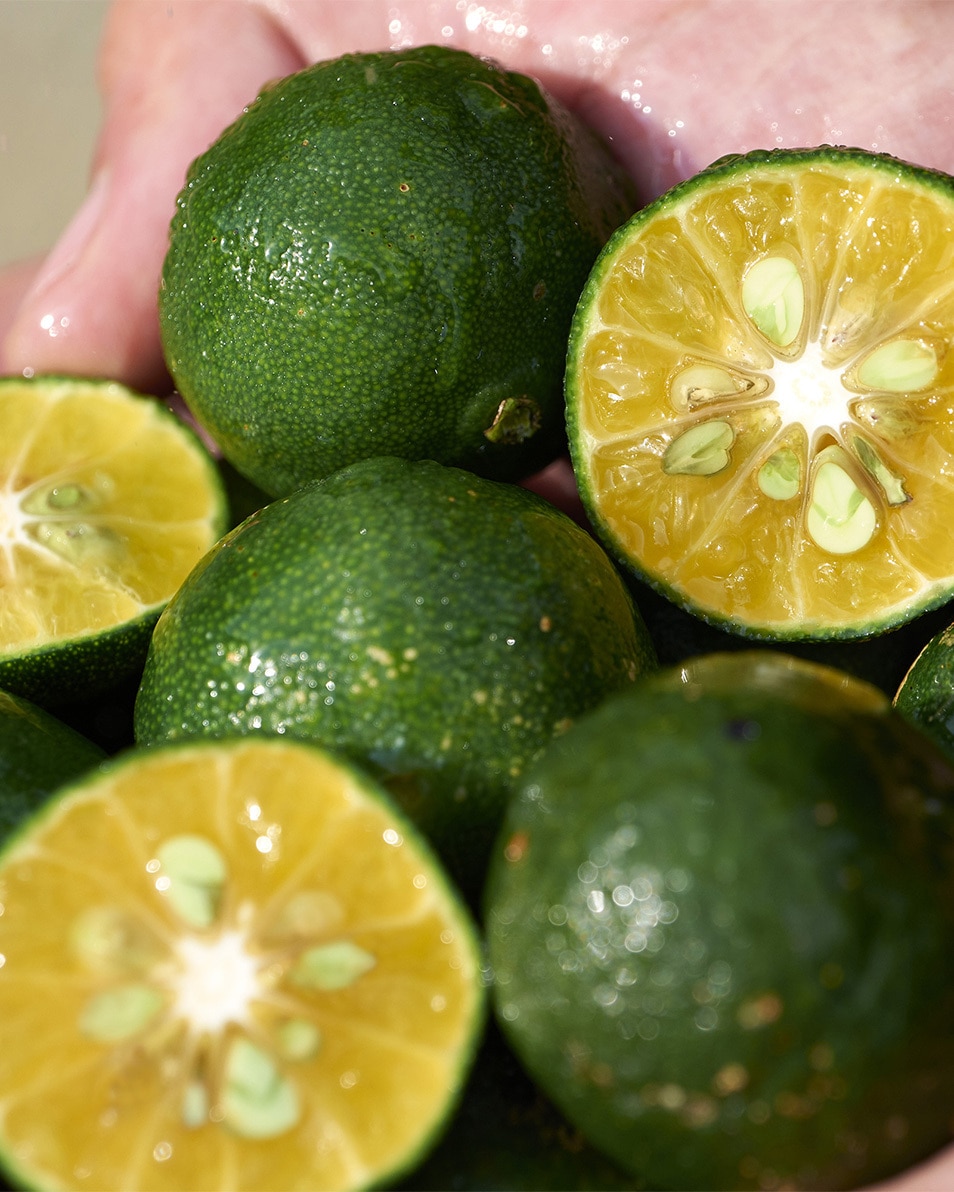 SHISEIDO Waso SHIKULIME Soin Correcteur Teint Non-Gras SPF30 50 ML 6