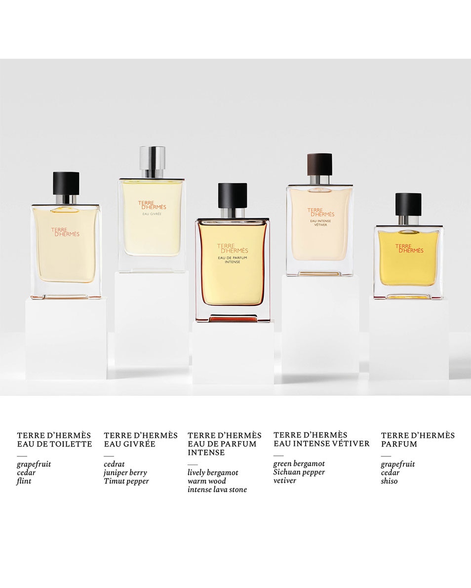 HERMÈS TERRE D'HERMÈS EAU INTENSE VÉTIVER EAU DE PARFUM 200 ML 4