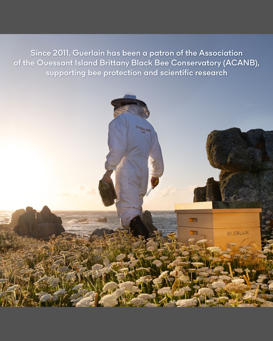 GUERLAIN ABEILLE ROYALE BAUME RÉPARATEUR JEUNESSE DES MAINS 40 ML 5