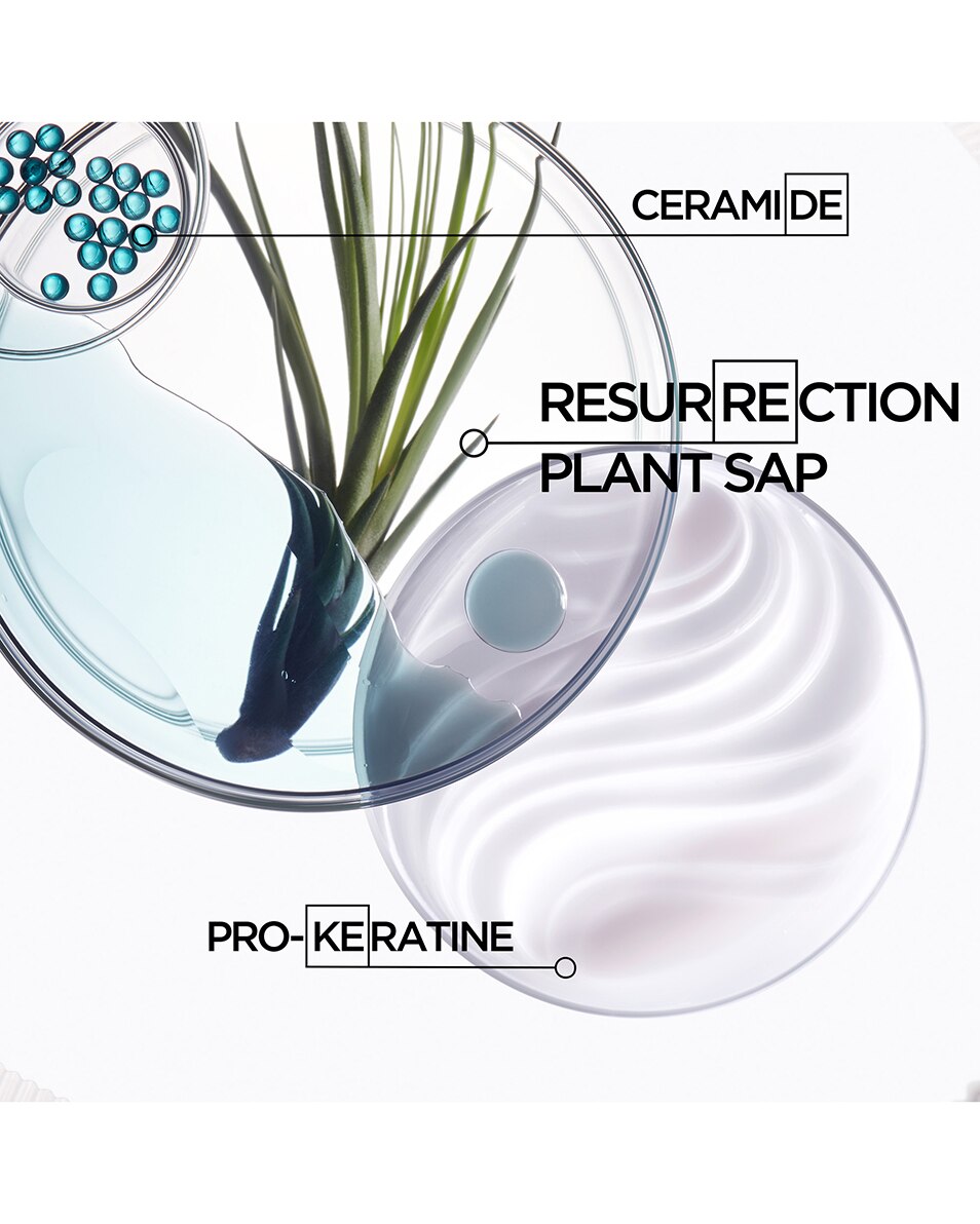 KÉRASTASE Résistance Bain Force Architecte Shampoing Réparateur - Pour Cheveux Abîmés 250 ML 4