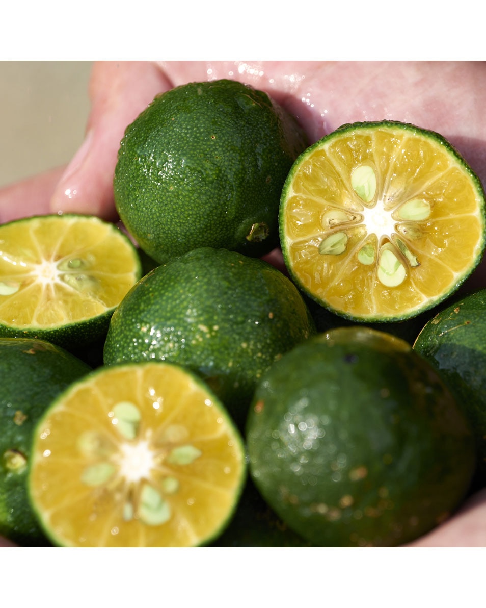 SHISEIDO Waso SHIKULIME Soin Correcteur Teint Non-Gras SPF30 50 ML 4