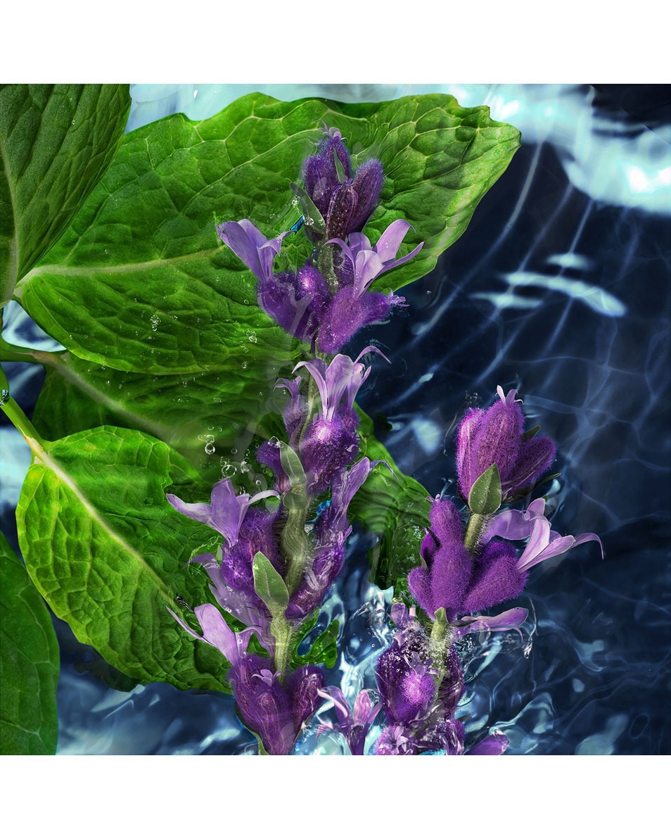 DAVIDOFF COOL WATER MAN DEO STICK 70 G 3