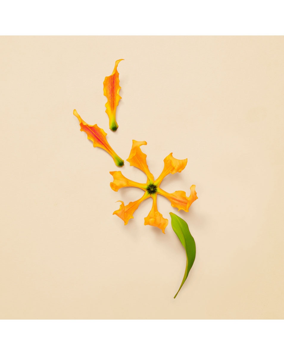 EAU DE PARFUM INTENSE FOR HER 50ML