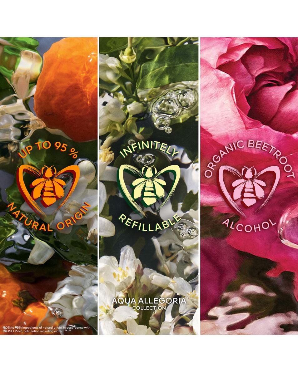 GUERLAIN AQUA ALLEGORIA NEROLIA VETIVER - EAU DE TOILETTE 75 ML 4