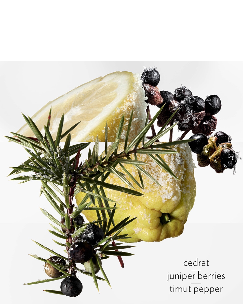 HERMÈS TERRE D'HERMÈS EAU GIVRÉE, EAU DE PARFUM 100 ML 4