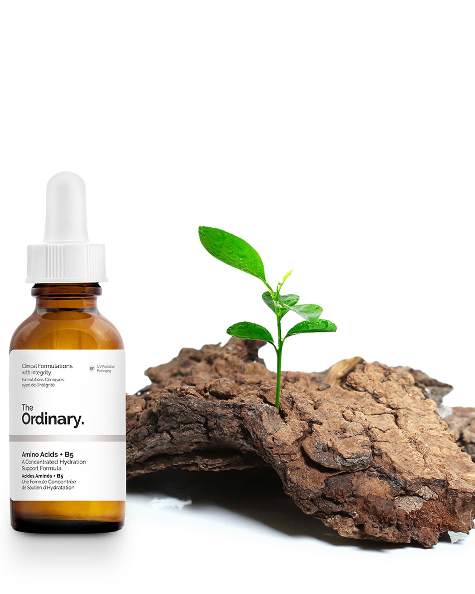 THE ORDINARY HYDRATORS ACIDES AMINÉS + B5 30 ML 4