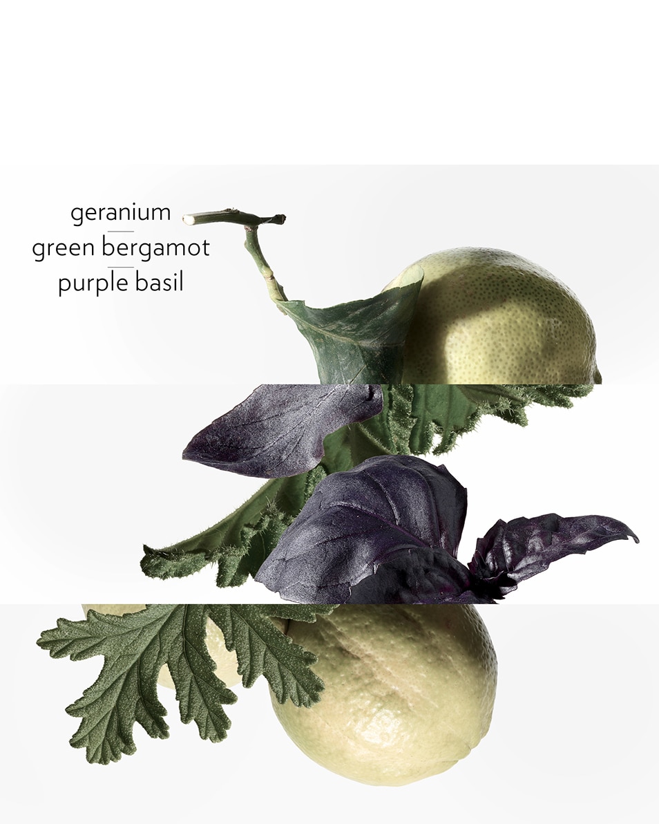 HERMÈS EAU DE BASILIC POURPRE EAU DE COLOGNE 50 ML 4