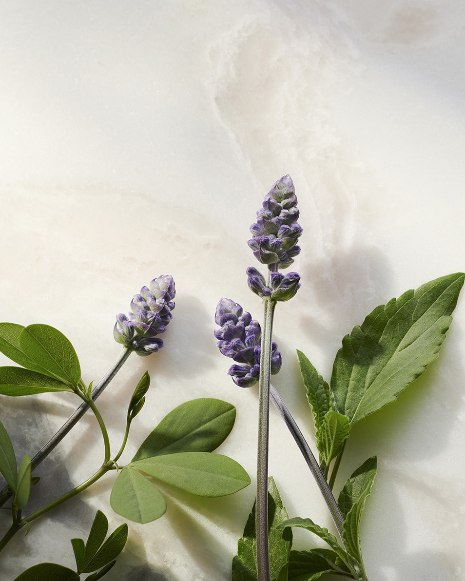 RITUALS THE RITUAL OF NAMASTE SÉRUM ÉCLAT ANTI-ÂGE 30 ML 4