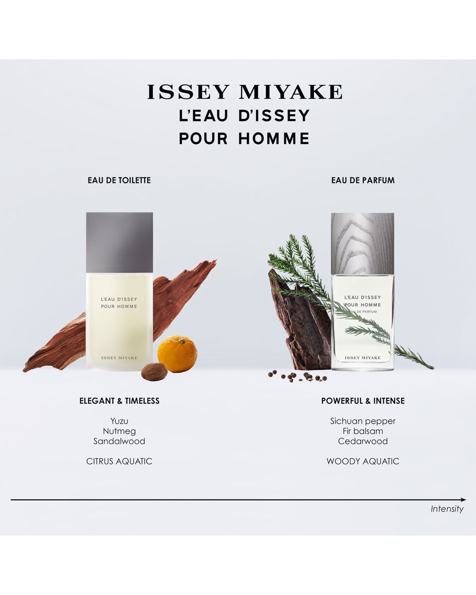 ISSEY MIYAKE L'EAU D'ISSEY POUR HOMME EAU DE TOILETTE SPRAY 75 ML 4