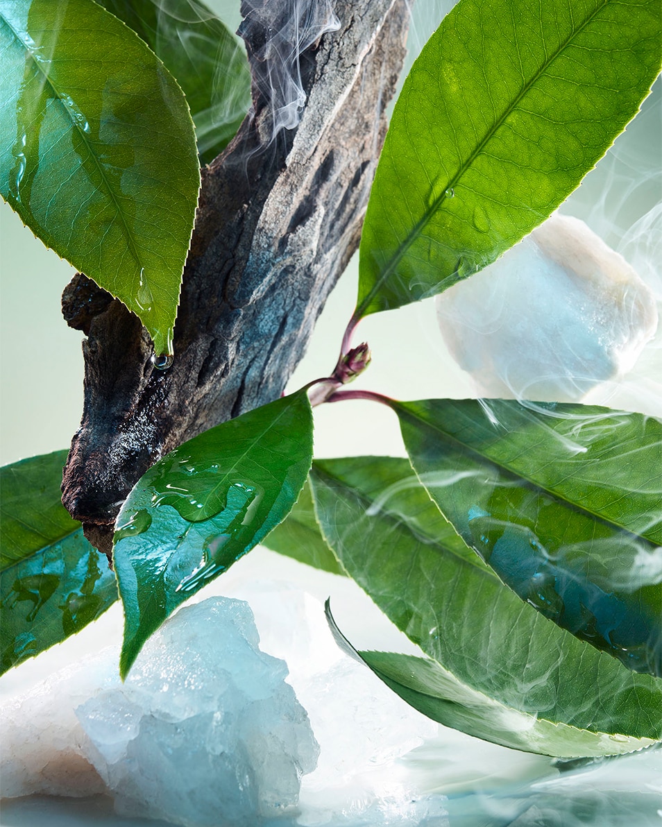 BVLGARI Pour Homme Eau de parfum 50 ML 4