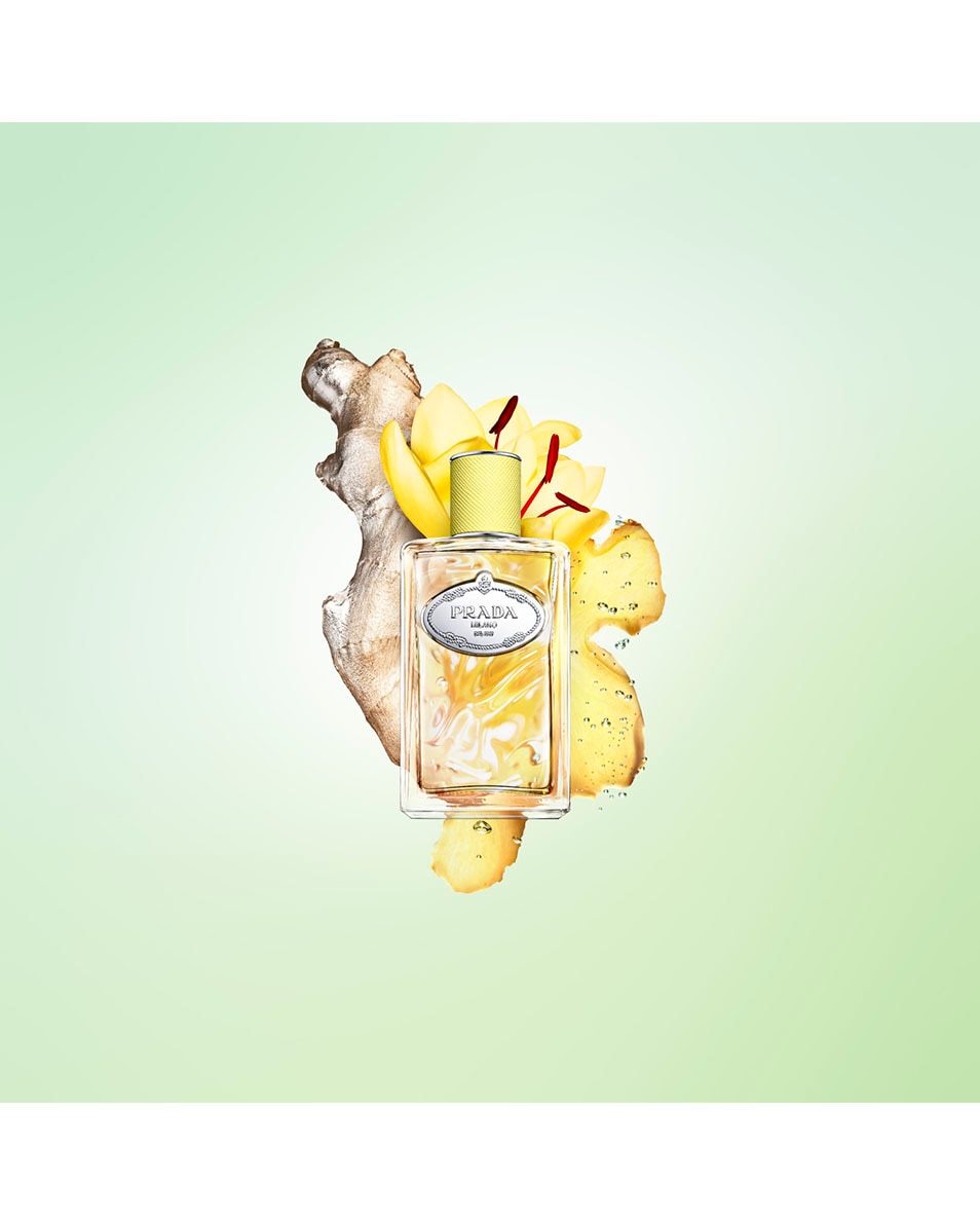 PRADA Infusions De Gingembre Eau De Parfum 100 ML 4