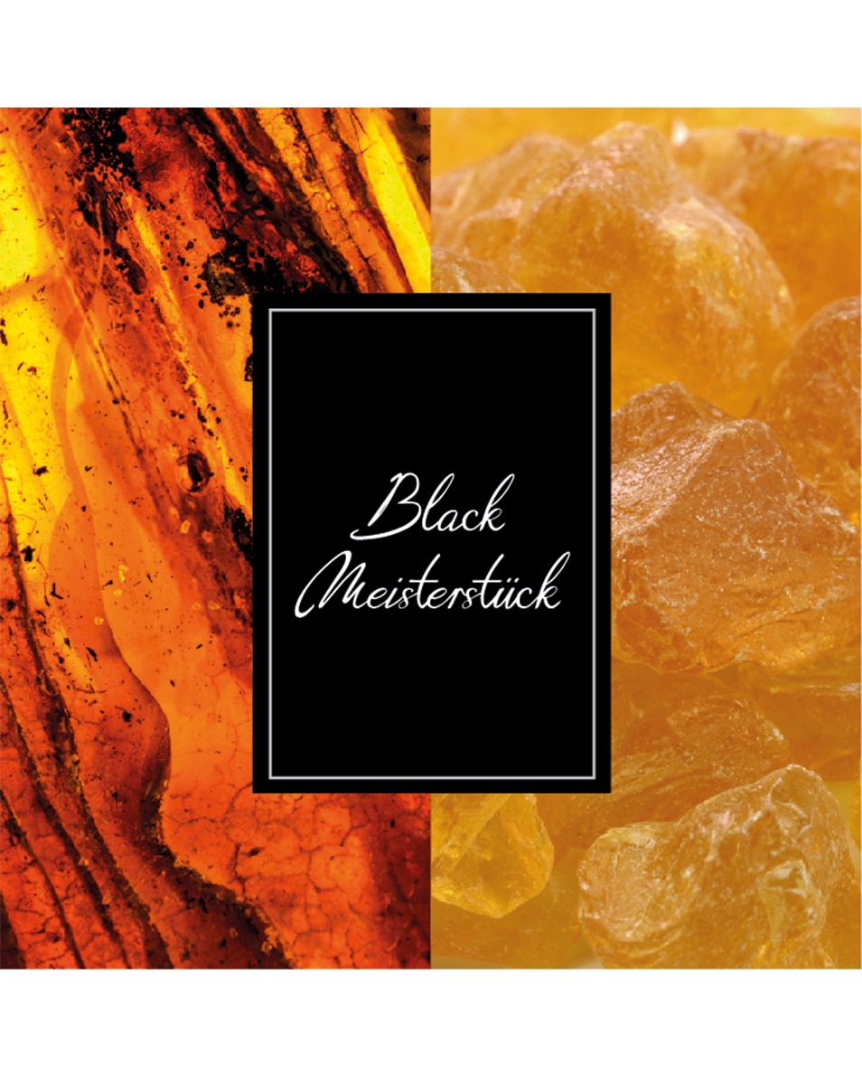 MONTBLANC Collection Black Meisterstuck Eau de parfum 125 ML 4