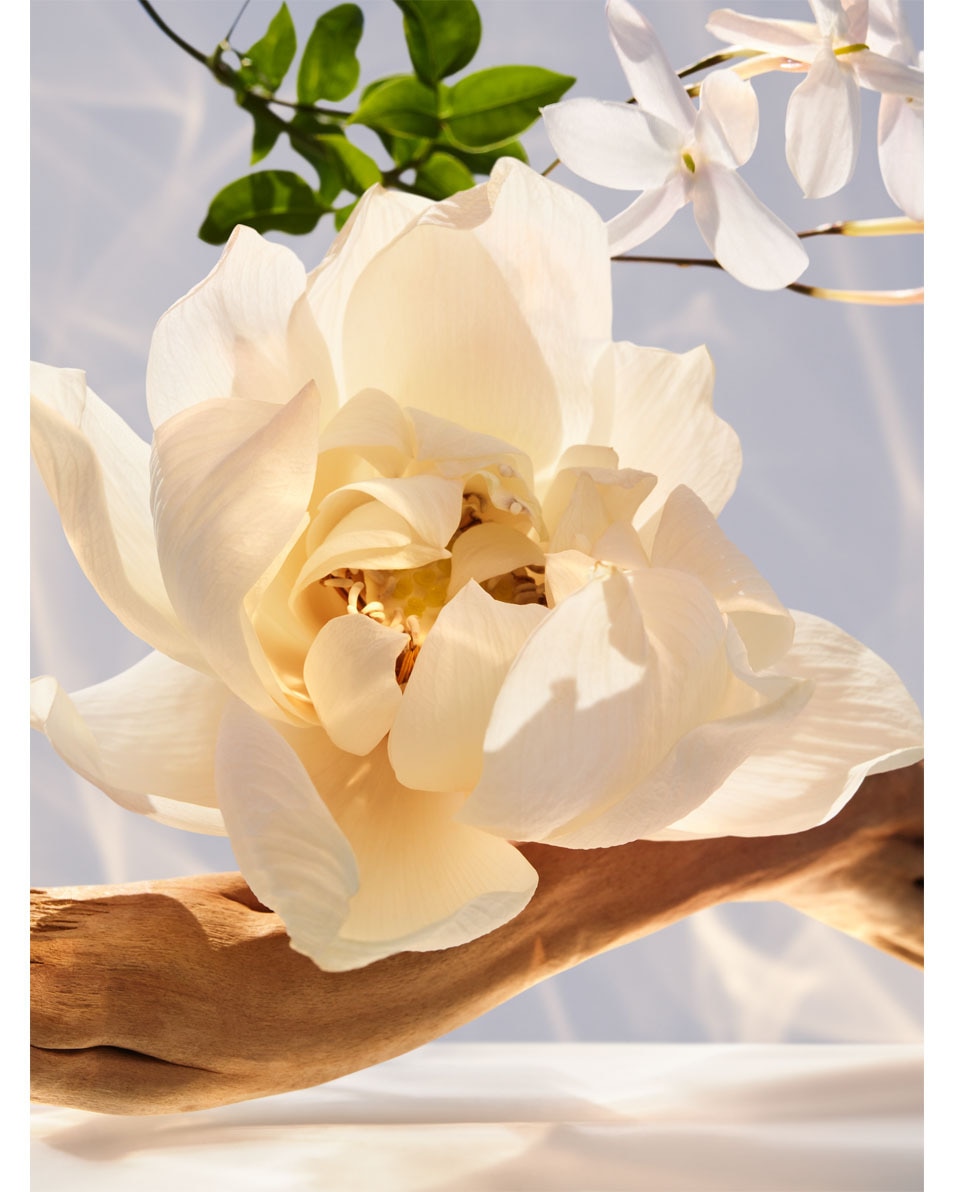 BVLGARI Omnia Crystalline Eau de Parfum 50 ML