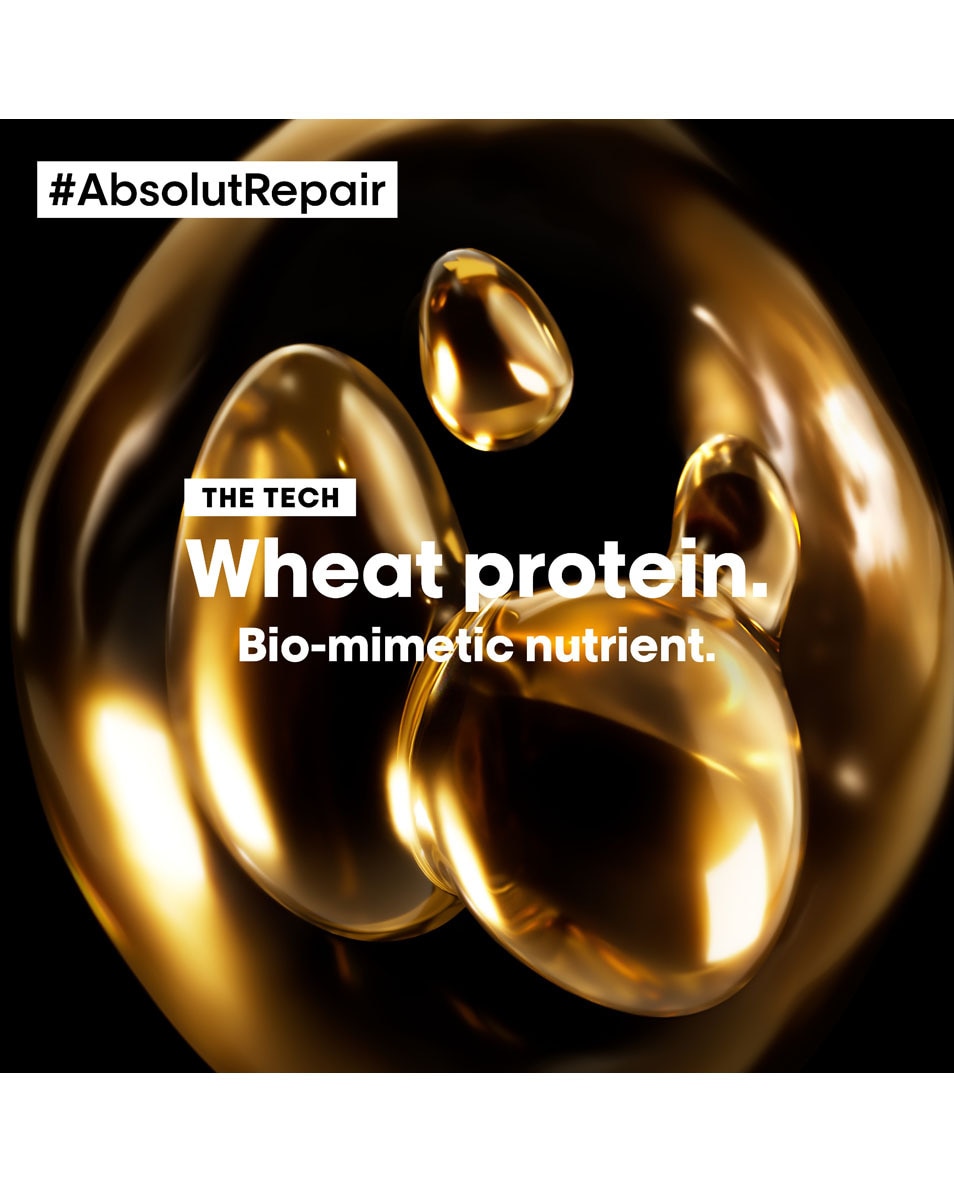 L'OREAL PROFESSIONNEL Absolut Repair Gold Masque pour cheveux secs et abîmés 250 ML 4
