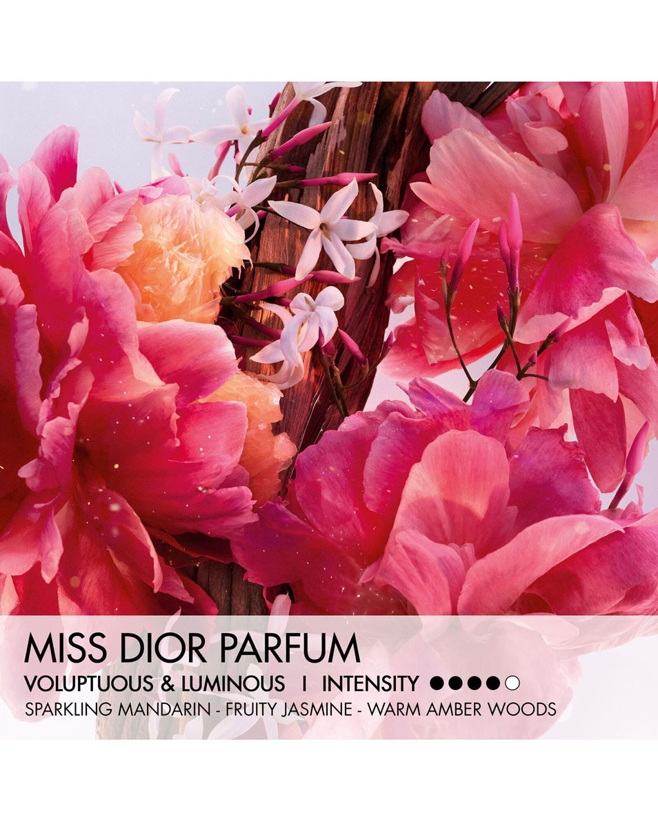 DIOR Miss Dior Parfum - Roller Pearl Parfum Roll-on - Parfum nomade fleuri, fruité et boisé 20 ML 2