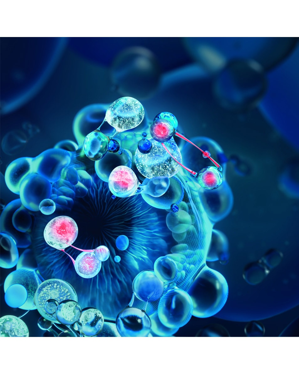 Reshaper Yeux et Lèvres - Lifte et sculpte