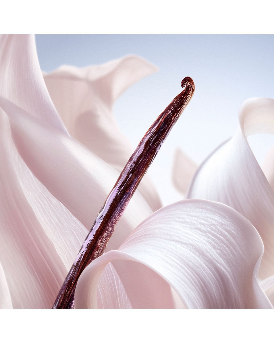 LANCÔME La Vie Est Belle Vanille Nude Brume Corps & Cheveux 100 ML 4