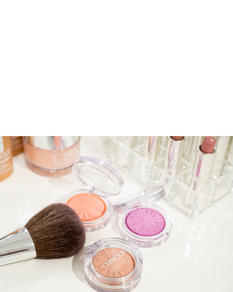 CLINIQUE POWDER BRUSH PINCEAU À POUDRE 1 ST 4