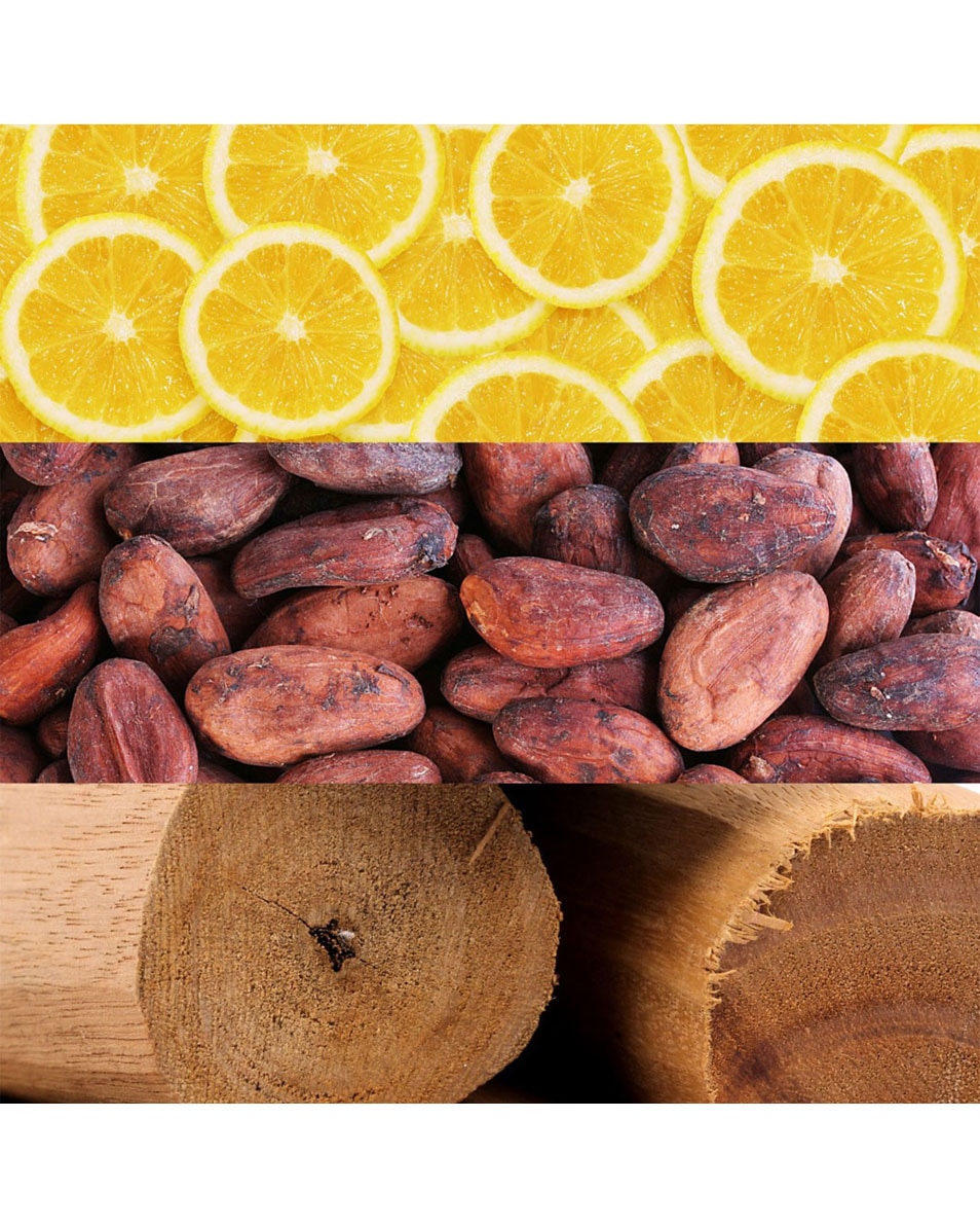 EAU DE TOILETTE VAPORISATEUR