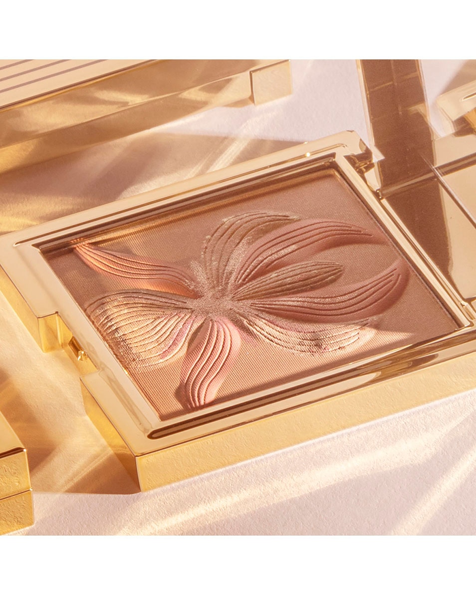 Blush enluminateur 3 teintes